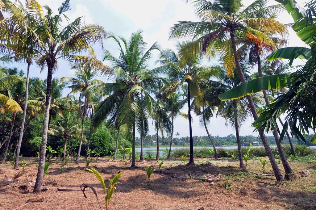 Lake County Heritage Home Kochi Extérieur photo
